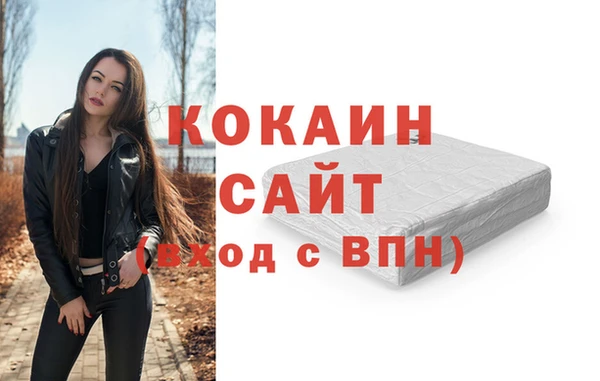 2c-b Гусев