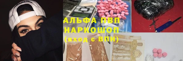 2c-b Гусев