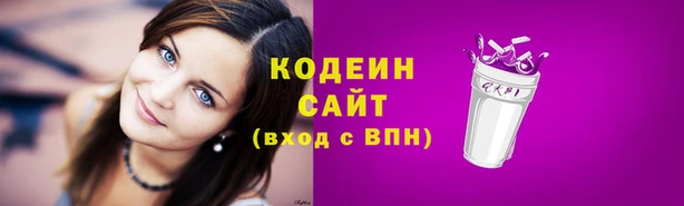 2c-b Гусев