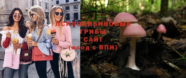 стафф Гусь-Хрустальный