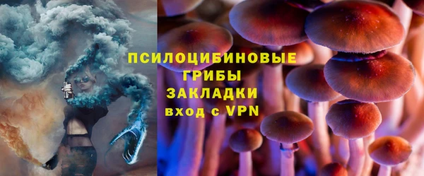 стафф Гусь-Хрустальный