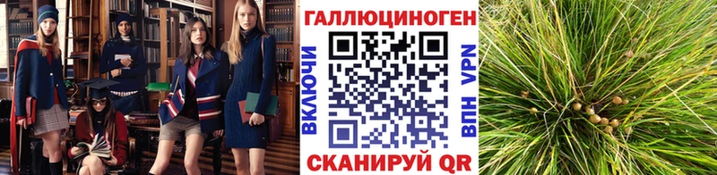 Купить  Балаково  Галлюциногенные грибы мухоморы 